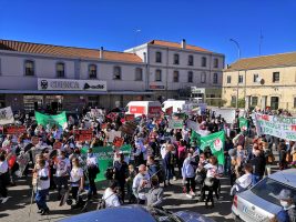 Decepción entre las plataformas vecinales de Castilla-La Mancha Stop Macrogranjas ante la moratoria insuficiente de García-Page