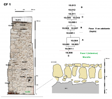 Nuevos datos sobre la muralla islámica en la zona de Mangana (Cuenca)
