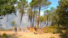La ecología del fuego y los incendios forestales