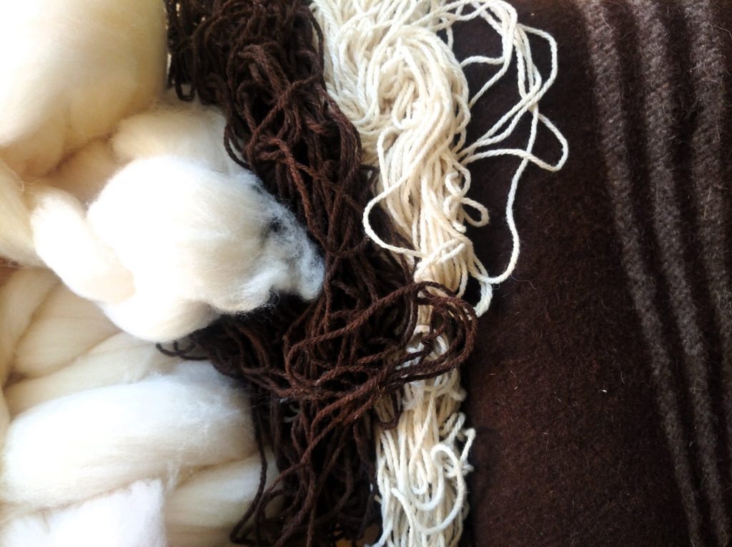 Tirando de la manta: descubriendo la historia de la lana de Mota del Cuervo
