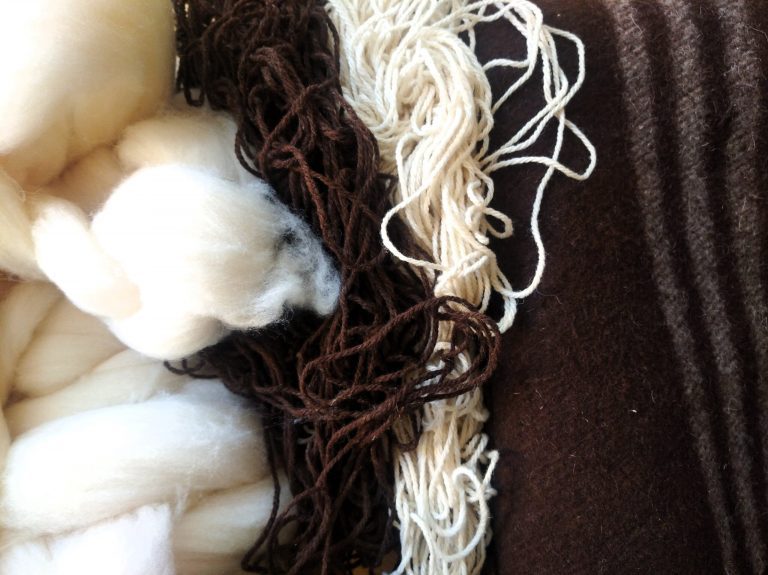 Lee más sobre el artículo Tirando de la manta: descubriendo la historia de la lana de Mota del Cuervo